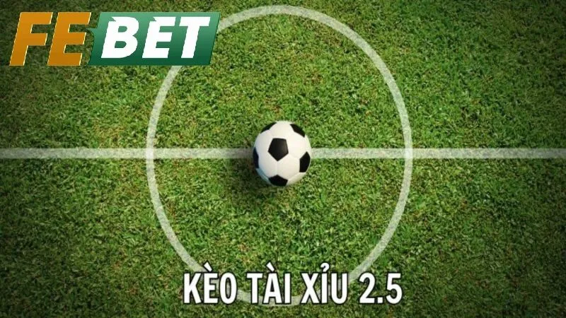 Chiến lược gia tăng lợi nhuận khi hiểu Kèo 2.5 là gì?