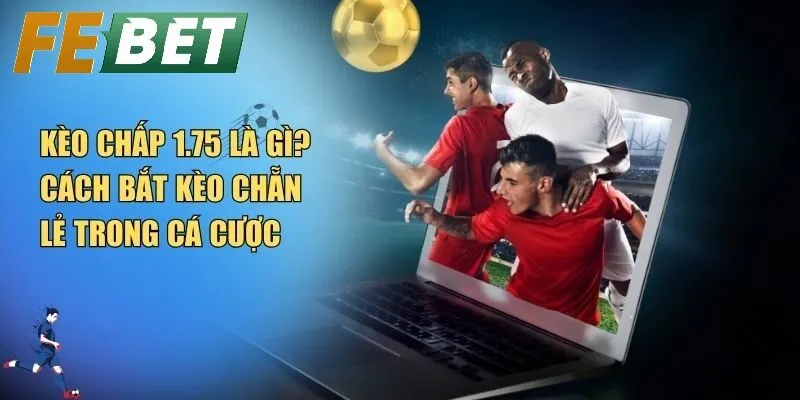Kèo Chấp 1.75 Là Sao Tại Febet? Cách Hiểu Đúng Và Bí Quyết Chơi Hiệu Quả
