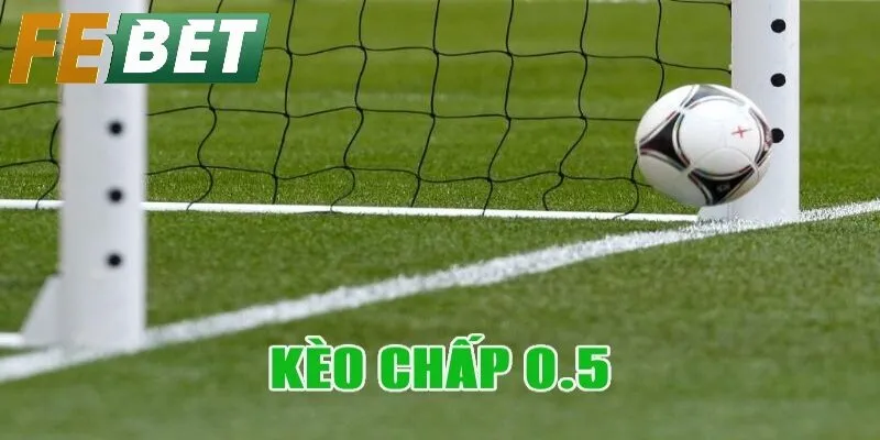 Hướng Dẫn Cách Đọc Và Hiểu Kèo Chấp Nửa Trái Chuẩn Xác